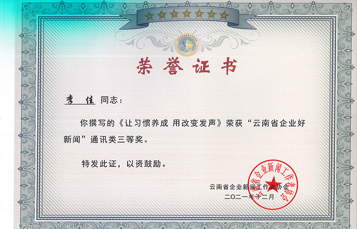 李佳 小圖 云南省企業(yè)新聞工作者協(xié)會(huì )獲獎證書(shū)_頁(yè)面_1.jpg