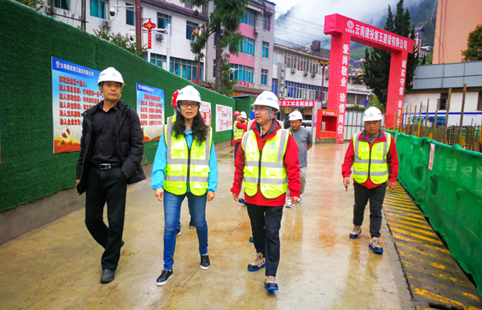 1652442917598839.jpg (小圖)貢山項目-現場(chǎng)檢查.jpg